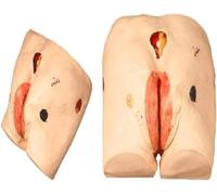 Bedsore Wound Care Demonstrations Tool, Advanced Pressure Ulcers Nursing | Senior Pressure Ulcers Manikin Teaching, for Students Education Teaching Medical Training Skills