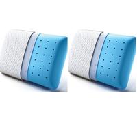 BedStory Memory Foam Pillow, Cooling Gel Pillows for Sleeping, Soft Supportive Pillow Medium Firmness for Side Stomach Back Sleepers, Ventilated Design Removable & Washable Cover (40X60X14CM)