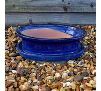 Bedwen Ceramic Bonsai Pot & Tray Set - 26cm x 20cm Oval Dark Blue Glazed Frost Proof Pot for Indoors & Garden