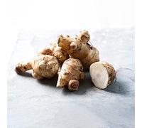 Bedwen Jerusalem Artichoke 'Papas Patio' 2L Plant - Dwarf Nutty Tuber for Containers, Small Gardens & Easy Autumn Harvests