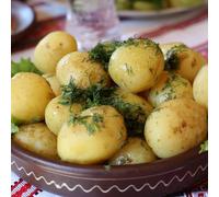 Bedwen Potato ‘Charlotte’ Seed Potatoes x10 - AGM Award-Winning Second-Early Salad Variety with Waxy Yellow Flesh & Great Taste for Boiling, Salads & Everyday Cooking