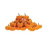 Bedwen Pumpkin 'Spark' F1 Plug Plant x4 - Striped Yellow & Orange Mini Pumpkin for Autumn Décor, Roasting & Crafts