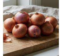 Bedwen Shallot ‘Meloine’ Sets x10 - AGM Award-Winning Gourmet Shallots with High Yields, Excellent Storage & Rich Flavour for Cooking, Roasting & Kitchen Gardens
