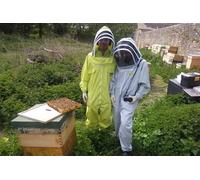 Bee a Beekeeper - Experience the Buzz