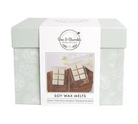Bee & Bumble Make Your Own Soy Wax Melts, Set Of 3, 300g Soy Wax, Vanilla Fragance Oil, Craft Kit Set, DIY, Art And Crafts, Wax, Unique Gift, Hobby Craft For Adults And Older Kids