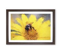 Bee Collecting Pollen in Abstract Framed Print | A2 Walnut Framed Wall Art | Ready to Hang | Abstract Animal Picture | Living Room Bedroom Lounge Office