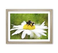 Bee Collecting Pollen Vol.2 Painting Framed Print | A2 Oak Framed Wall Art | Ready to Hang | Modern Animal Picture | Living Room Bedroom Lounge Office