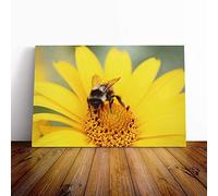 Bee Collecting Pollen Yellow Flower (1) Canvas Print | Gallery Wrapped 30mm Frame Wall Art | 20x14 inches | Ready to Hang | Modern Animals Picture | Living Room Bedroom Lounge Office