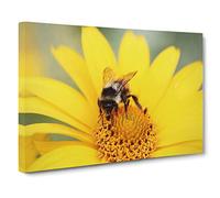 Bee Collecting Pollen Yellow Flower No.1 Modern Canvas Wall Art Print Ready to Hang, Framed Picture for Living Room Bedroom Home Office Décor, 24x16 Inch (60x40 cm)