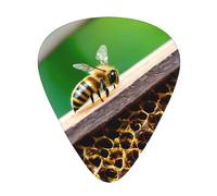 Bee flying Print Guitar Pick for Men Women Triangle Instrument Accessories Plectrums(12pcs One sided)