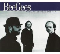 Bee Gees - Still Waters (Remix)