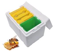 Bee Hive: Bee Breeding Beehive, PP Foam Queens Breeding Equipment, Beekeeping Tool for Pollination, Backyard Agricultural Apiary Supplies, Help