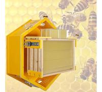 Bee Hive Box with Observation Windows, Starter Kit with 3 Frames and Comb Honey Box, for Indoor Bee Breeding and Easy Observation