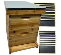 Bee Hive Complete - Premium Beehive Langstroth 8 Frame - Includes Frames, Foundations and Queen Excluder.