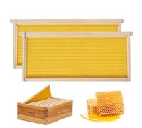 Bee Hive Frames and Wax Foundations 2Pcs 19.02x9.13x0.79 inch. Square Bee Frames with Wax Wood Beehive Frames Yellow