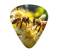Bee Honeybee3 print Celluloid Guitar Plectrums for Acoustic Guitar Bass,Guitar Picks with Organizer Box