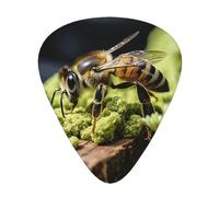 Bee In Flower Print12 Professional Guitar Tuner For Guitar, Bass, & Chromatic Tuning Modes