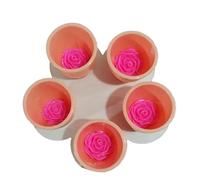Bee Ins-ect Drinking Cup, Bee Cup for the Garden, Colourful Bee Ins-ect Drinking Cup, Insect Drinking Cups, Bee Cups, Thirsty Pollinators Need Drinking Water, Bees Need Safe Drinking Places