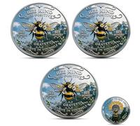 Bee Kind Positivity Commemorative Coin, Double-Sided Inspirational Bee Challenge Coin, Bee Happy Motivation Collectible Token, Unique Encouragement Gift for Women, Men & Friends (3PCS)