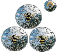 Bee Kind Positivity Commemorative Coin,Double-Sided Inspirational Bee Token with Kindness & Gratitude Message,Sunflower & Laurel Design,Motivational Encouragement Lucky Coin Gift, for Women Men (3Pcs)