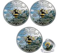 Bee Kind Positivity Commemorative Coin, Double-Sided Inspirational Token with Kindness Gratitude Message Sunflower Laurel Design Unique Encouragement Gift for Women, Men, Friends (3 Pcs)