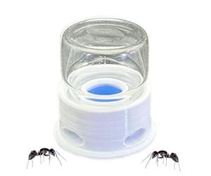 Bee Liquid Station - Transparent Ant Feeder, Leakproof Drinking Device, Hydration Tool With Step Design | Home Farm Outdoor Feeder For Crickets Ants Bees, Easy Durable Nutrient Solution Holder