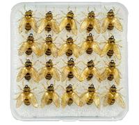 Bee Magic - Abodes Bees Live - Fly Stick for Trout | Realistic Fly Fish Baits with Storage Bag for Sweetener & , River, Lake & Outdoor Fishing