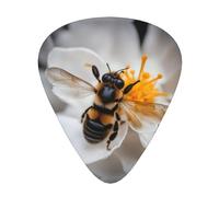 Bee On Honeycomb Print Organizer Storage Box Different Thickness Guitar Picks For Acoustic Guitar