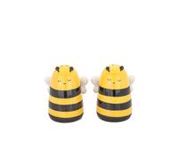 Bee Salt & Pepper Shaker Set Novelty Pots Cruet Set Gift Boxed Sass & Belle