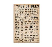 Bee Types Types of Bee Knowledge Bee LHoney Bee LYard Garden Farm Wall Decor Poster Metal Sign Poster 8X12 Inches