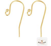 Beebeecraft 1 Box 10Pcs Earring Hooks 18K Gold Plated 925 Sterling Silver Fish Ear Wire Ball Hooks for Jewelry Earring Making for Jewellery Making