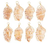 Beebeecraft 1 Box 10Pcs Sea Shell Charms 18K Gold Plated Copper Wire Natural Cowrie Conch Seashells Ocean Shells Beach Pendants Charm for Jewellery Making Charms DIY