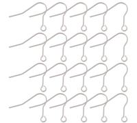 Beebeecraft 1 Box 20Pcs Titanium Earring Hooks, Hypoallergenic Titanium Alloy Fish Hook Earring Wires with Loop French Earwires Findings for Dangle Jewellery Making DIY Supplies