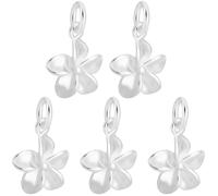 Beebeecraft 1 Box 5Pcs 925 Sterling Silver Flower Charms Floral Flowers Mini Charm with Polishing Cloth for Jewellery Making Pendants Necklace Bracelet DIY Crafts Supplies