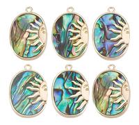Beebeecraft 1 Box 6Pcs Abalone Shell Charms 18K Gold Plated Oval Paua Shell Charms Sun Colorful Pendant Charm for Earring Necklace DIY Jewelry Making 0.65x0.06In