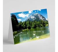 Beebooh cards swans swimming in lake birthday card