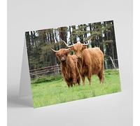 Beebooh cards two highland cows in a field birthday card