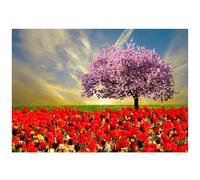 Beebooh Field of colourful tulips and pink blossom tree blank card