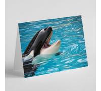 Beebooh Killer whale with head out of water birthday card
