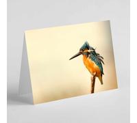 Beebooh Kingfisher on a branch birthday card