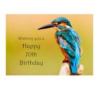 Beebooh Kingfisher sitting on a branch 70th birthday card