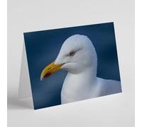 Beebooh Seagull birthday card