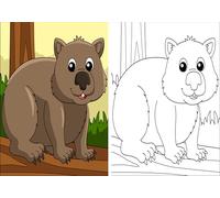 Beebooh Wombat colouring birthday card