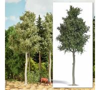 Beech Tree 170 mm high HO/OO Gauge BUSCH 3798