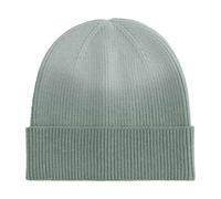 Beechfield Men's Dip Dye Beanie in Light Green Beechfield Light Green One Size