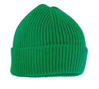 Beechfield Rib Knit Flexible Polyester Beanie with Wide Cuff in Green Beechfield Green One Size