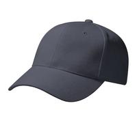 Beechfield Unisex Pro-Style Heavy Brushed Cotton Baseball Cap / Headwear (One Size) (Graphite Grey)