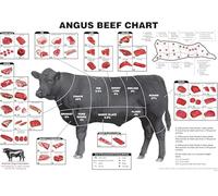 Beef Cuts and Butcher Chart Poster - Comprehensive Guide to Angus Meat with Primal & Subprimal Cuts, Large Educational Poster for Kitchen or Garage(Unframed,16x24inch(40x60cm))