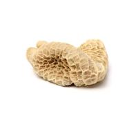 Beef Tripe 1kg