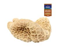 Beef Tripe 1kg with Rajah Beef Steak Seasoning - Fresh Cleaned Tripe for Recipes - Fresh Halal Meat Pack